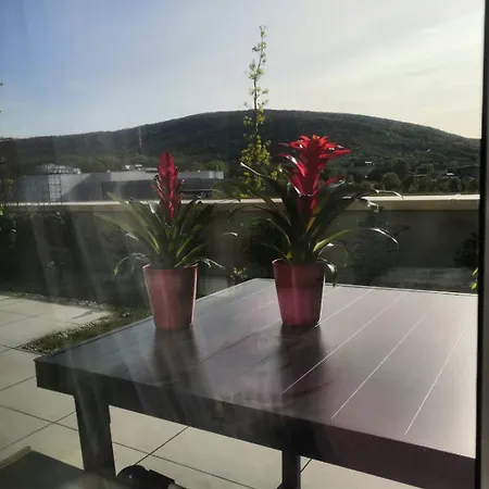 Five Star With Mountain View * 布拉迪斯拉发